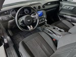 Ford Mustang EcoBoost 2022