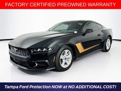 2024 Ford Mustang EcoBoost