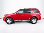 Ford Escape XLT 2011