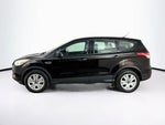 Ford Escape S 2013