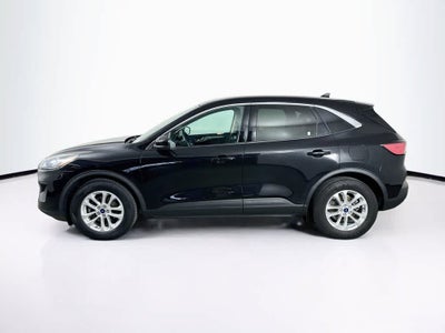 Ford Escape SE 2020