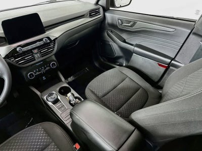 Ford Escape Active 2023