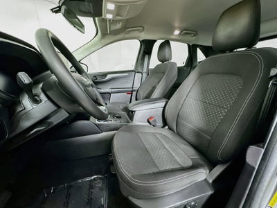 Ford Escape Active 2023