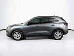 Ford Escape Active 2023
