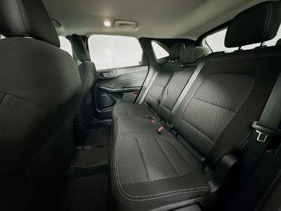 Ford Escape Active 2023