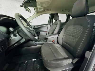 Ford Escape Active 2023