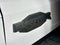 Ford Bronco Raptor 2026