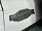 Ford Bronco Raptor 2026