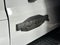 Ford Bronco Raptor 2026