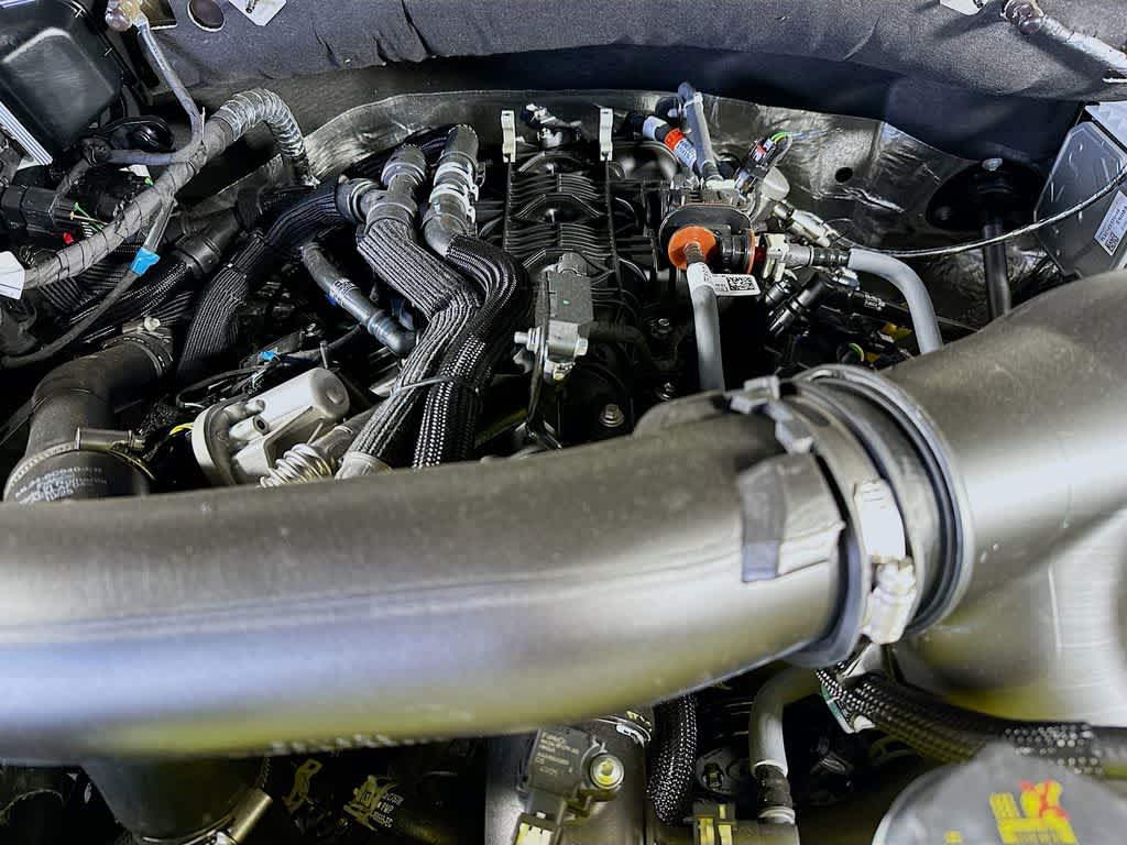 2026 Ford Expedition Activo