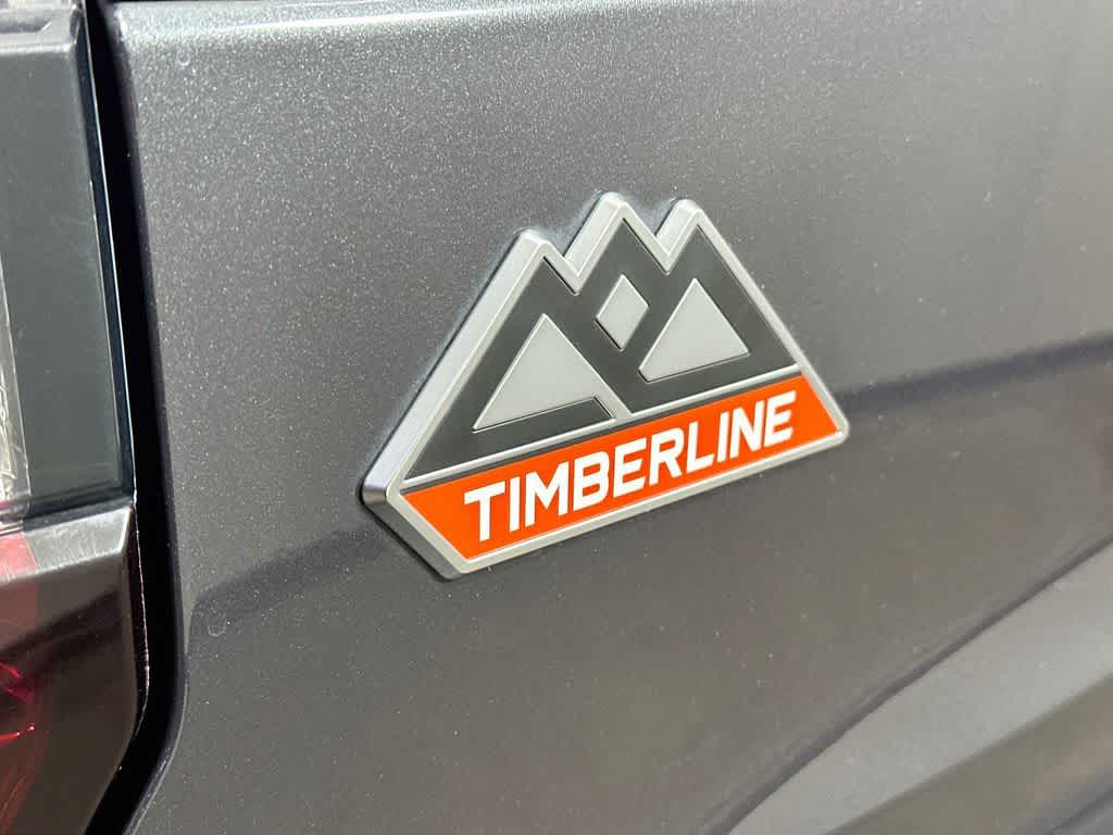Ford Expedition Timberline 2022