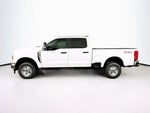 2026 Ford Super Duty F-250 SRW F-250® XL