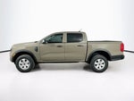 Ford Ranger XL 2026