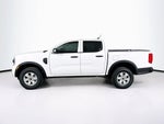 Ford Ranger XL 2026