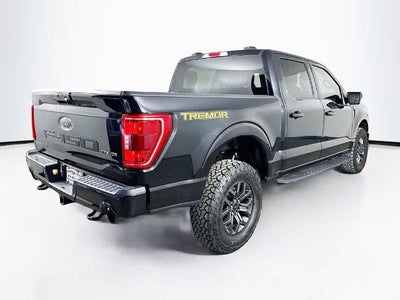 2023 Ford F-150 Temblor