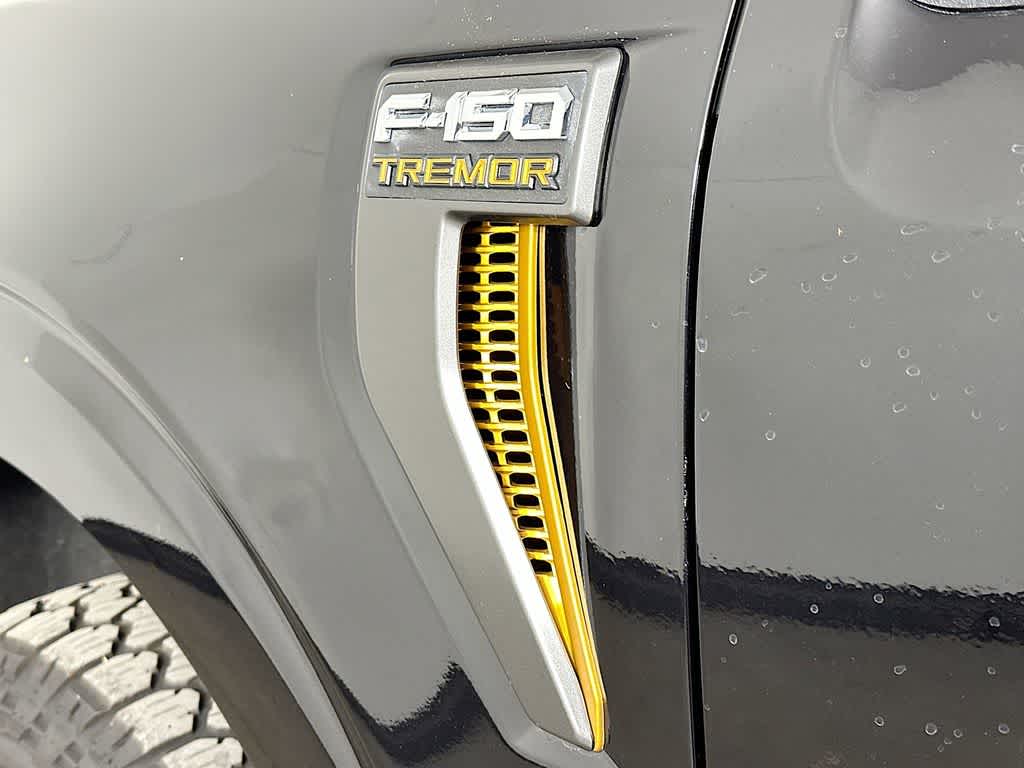 2023 Ford F-150 Temblor