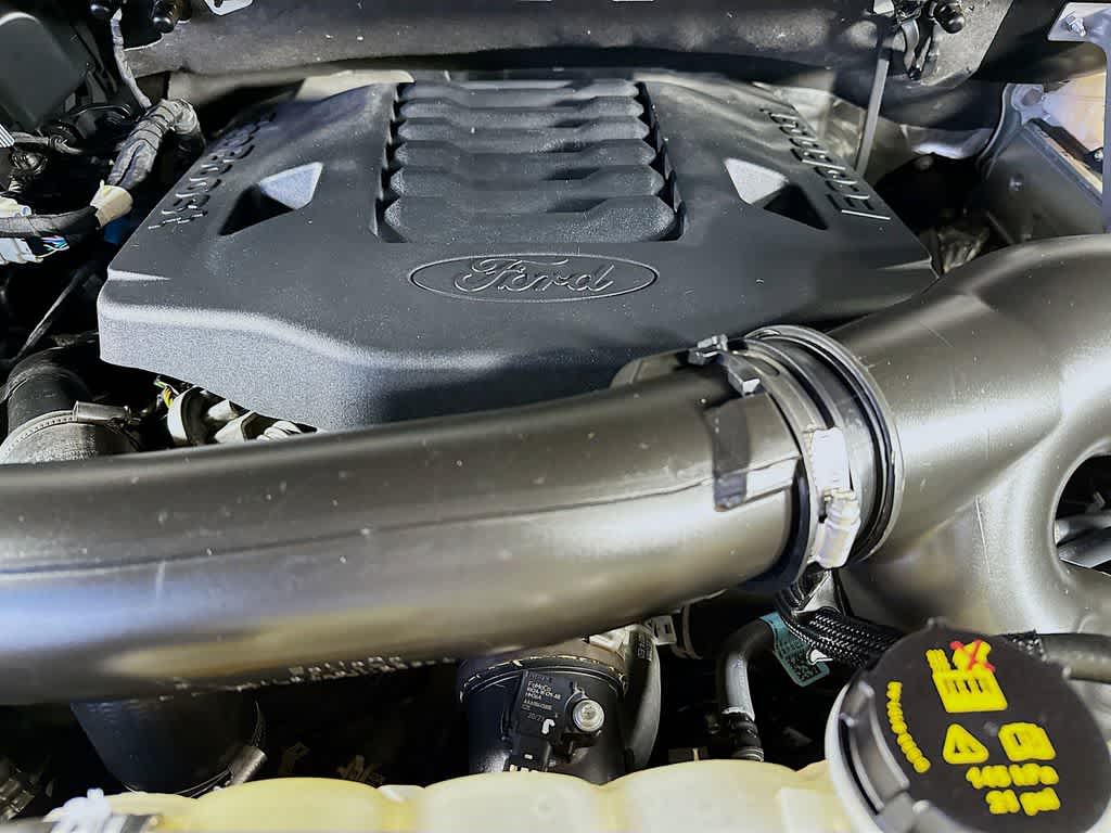 2023 Ford F-150 Temblor