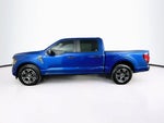 Ford F-150 STX 2024