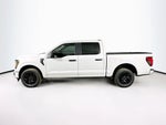 Ford F-150 STX 2026