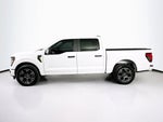 Ford F-150 STX 2024