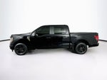 Ford F-150 STX 2025