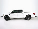 Ford F-150 STX 2026