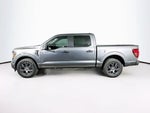 Ford F-150 STX 2026