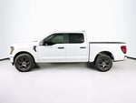Ford F-150 STX 2026