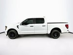 Ford F-150 STX 2026