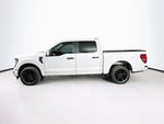 Ford F-150 STX 2026