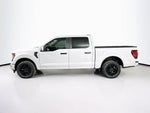 Ford F-150 STX 2026