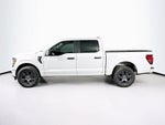 Ford F-150 STX 2026