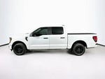 Ford F-150 STX 2026