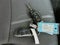 Ford F-150 STX 2026