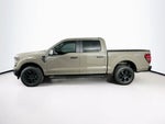 Ford F-150 STX 2026