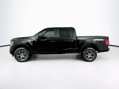 Ford F-150 STX 2026
