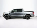 Ford F-150 XLT 2026