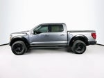 Ford F-150 Raptor 2024