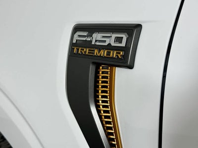 Ford F-150 Tremor 2026