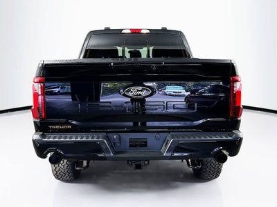 2025 Ford F-150 Temblor