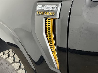 2025 Ford F-150 Temblor