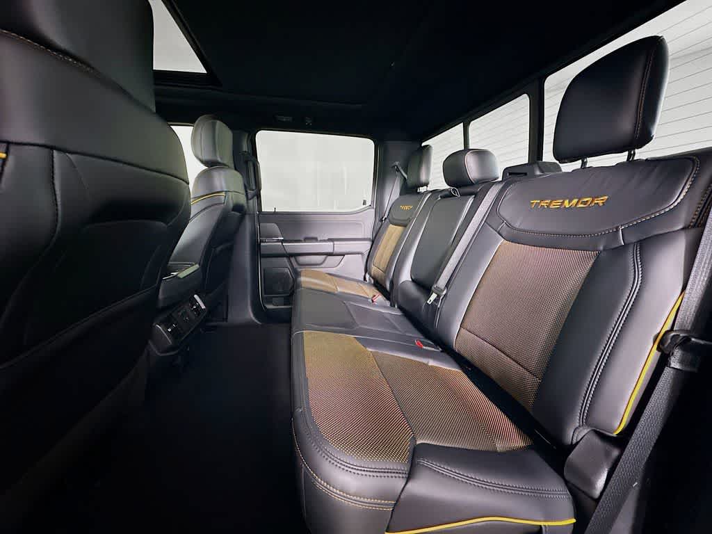 2025 Ford F-150 Temblor