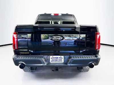 2025 Ford F-150 Temblor
