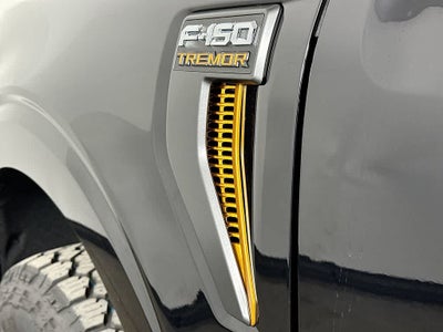 2025 Ford F-150 Temblor