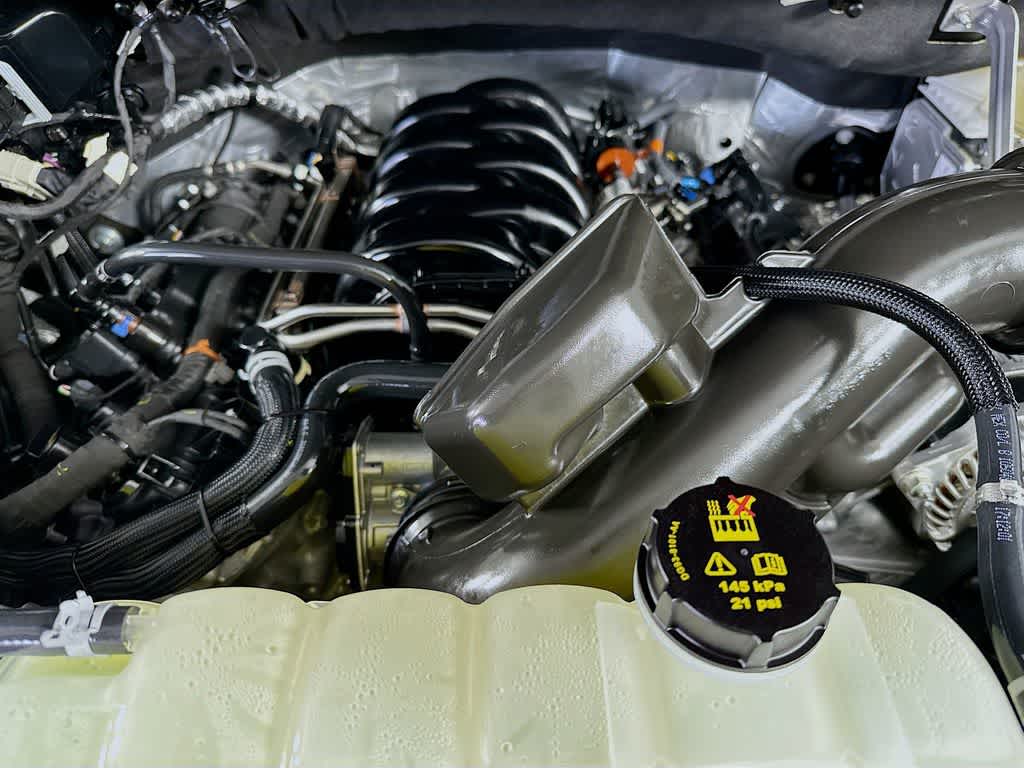 2025 Ford F-150 Temblor