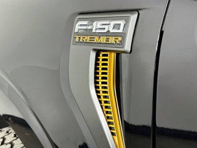 Ford F-150 Tremor 2025