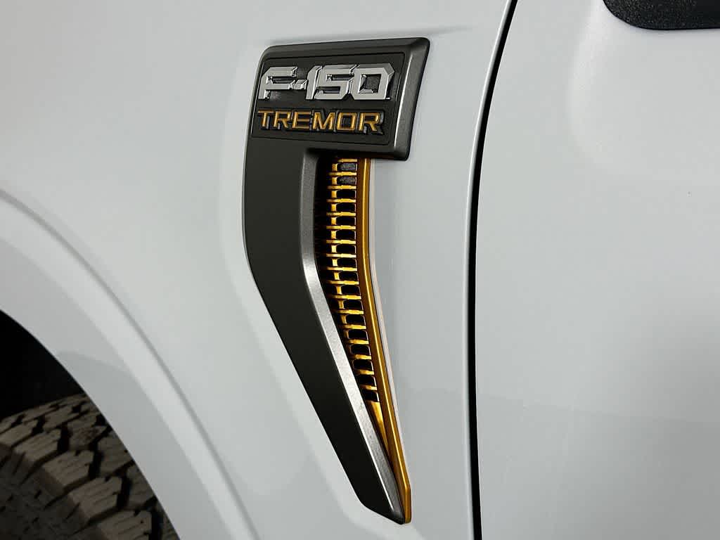 2025 Ford F-150 Temblor