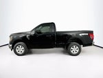 Ford F-150 XL 2026