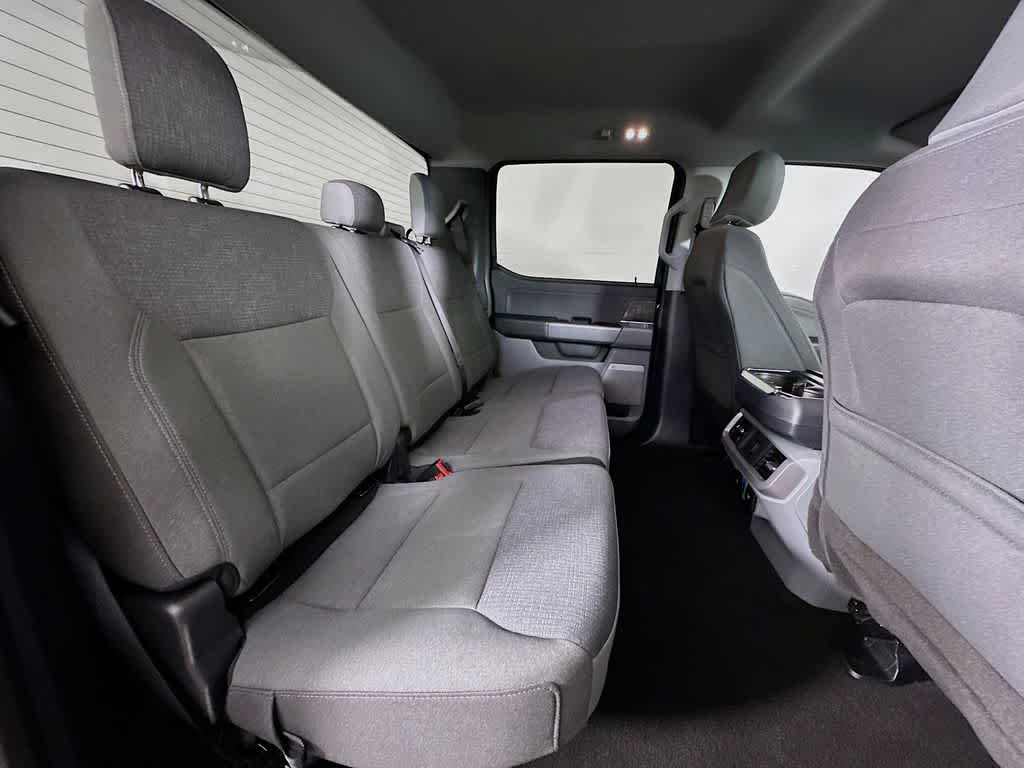 Ford F-150 Lightning Flash 2024