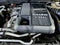 GMC Sierra 1500 Elevation 2024